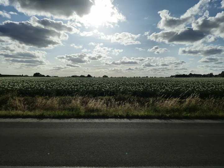 Bellegem, West-Vlaanderen (Belgium)